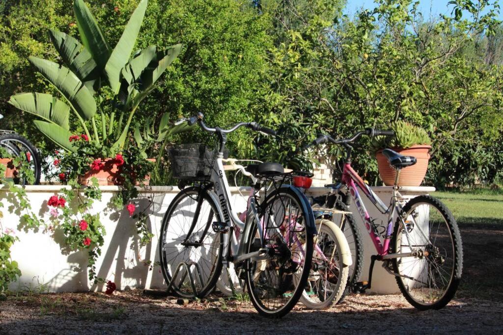 Villa Di Campagna Vicino Al Mare Orosei Extérieur photo