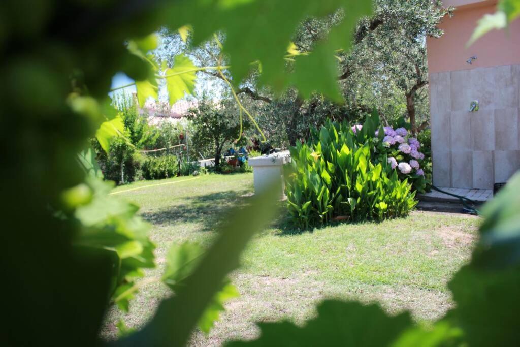 Villa Di Campagna Vicino Al Mare Orosei Extérieur photo