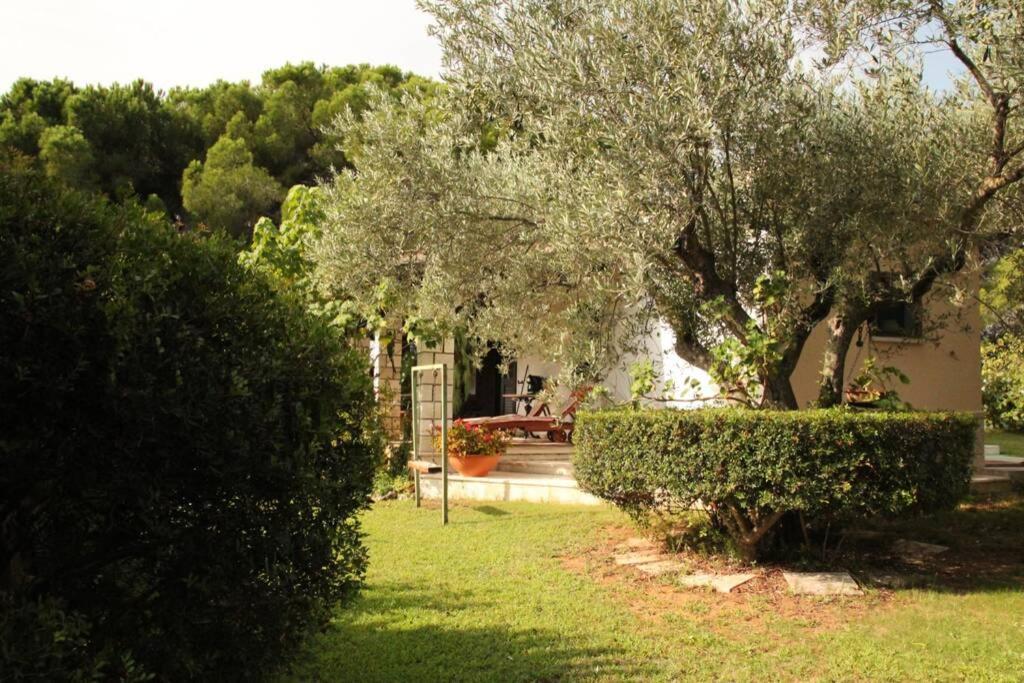 Villa Di Campagna Vicino Al Mare Orosei Extérieur photo